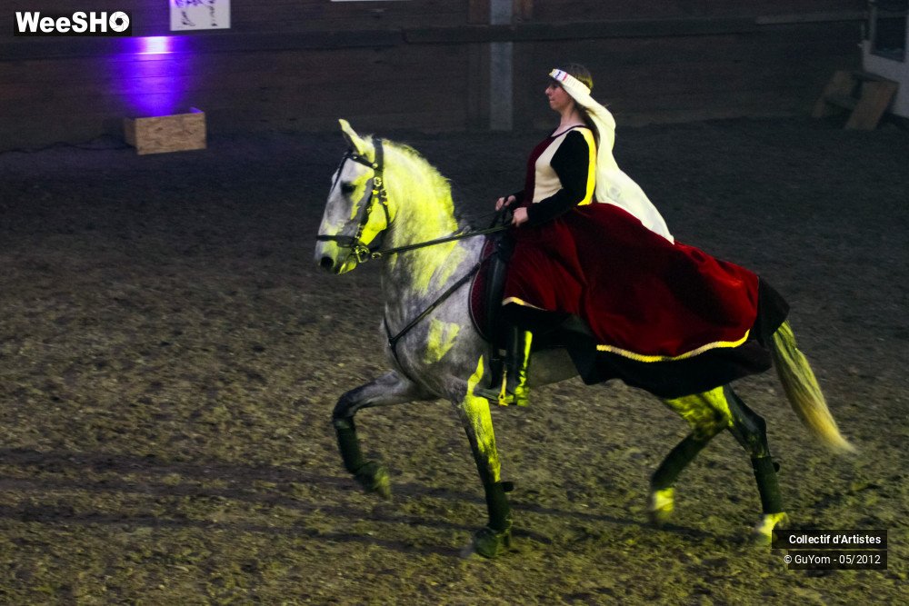 4/50 photos du spectacle Spectacle Equestre 2 Seniors