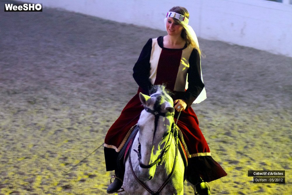 5/50 photos du spectacle Spectacle Equestre 2 Seniors