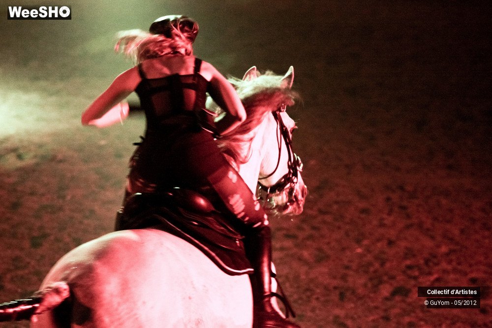 6/50 photos du spectacle Spectacle Equestre 2 Seniors