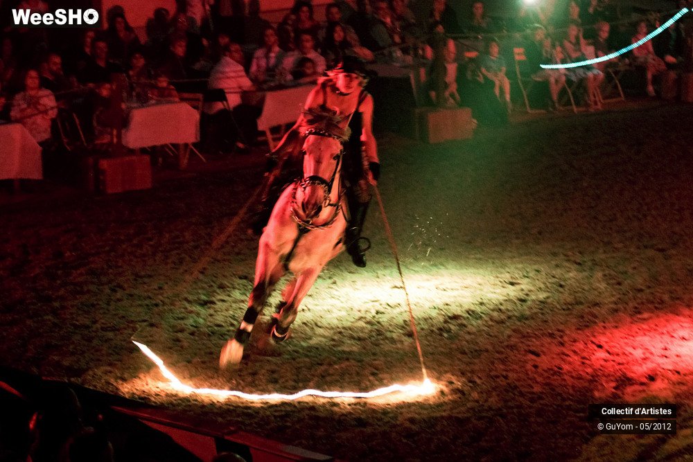 7/50 photos du spectacle Spectacle Equestre 2 Seniors
