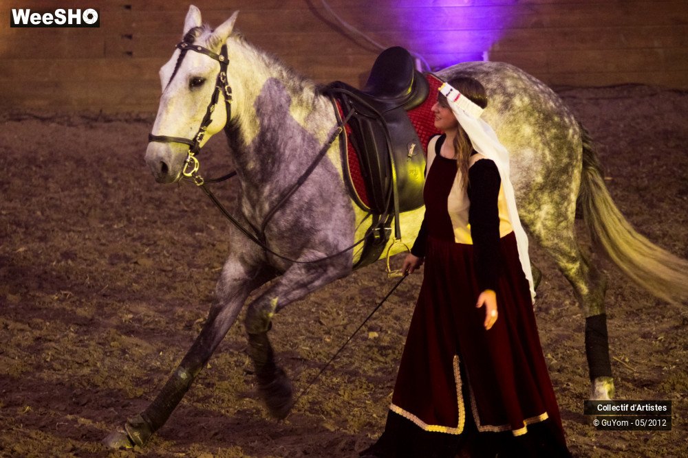 9/50 photos du spectacle Spectacle Equestre 2 Seniors