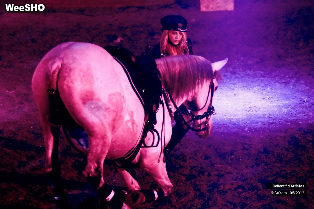 10/50 photos du spectacle Spectacle Equestre 2 Seniors