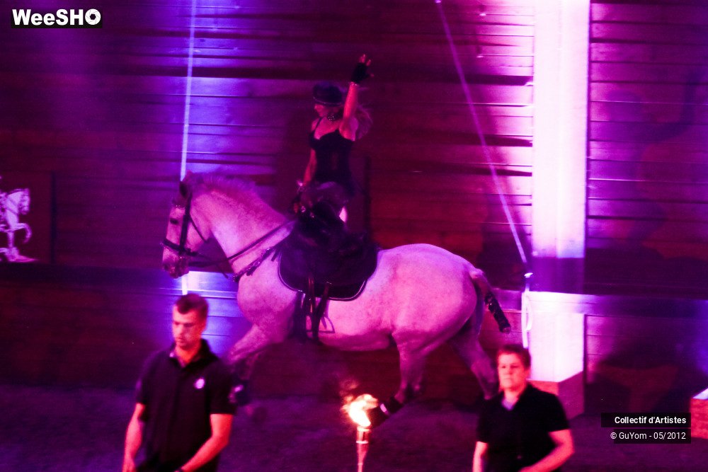 11/50 photos du spectacle Spectacle Equestre 2 Seniors