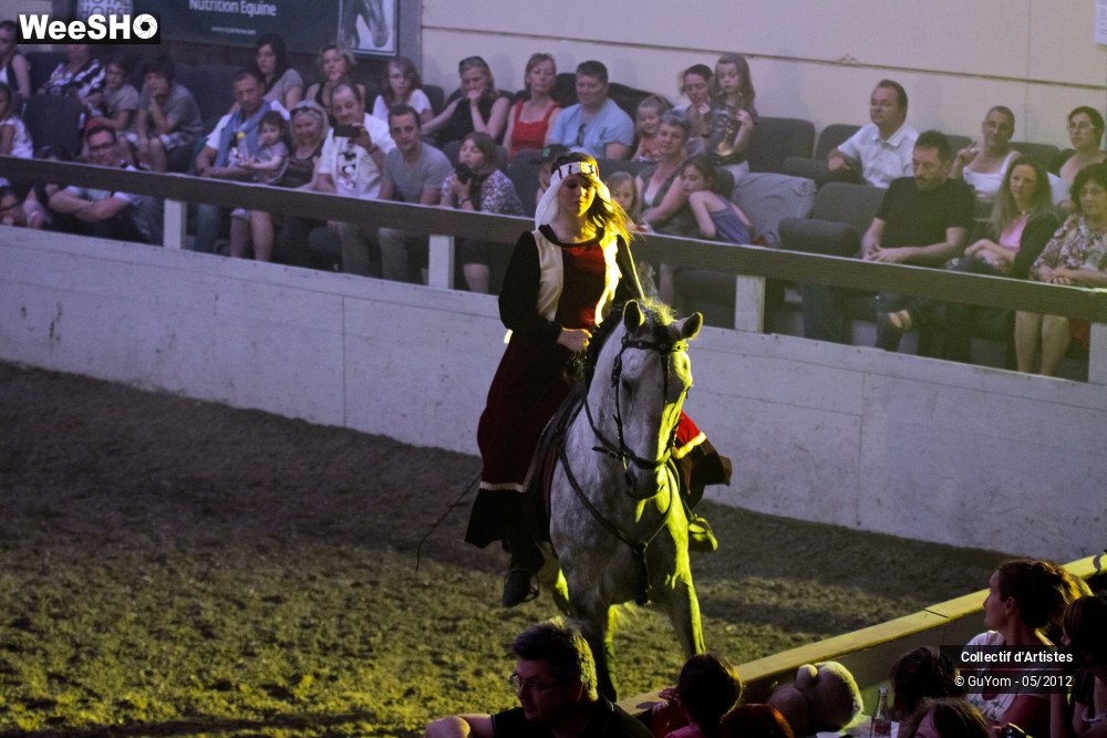 13/50 photos du spectacle Spectacle Equestre 2 Seniors