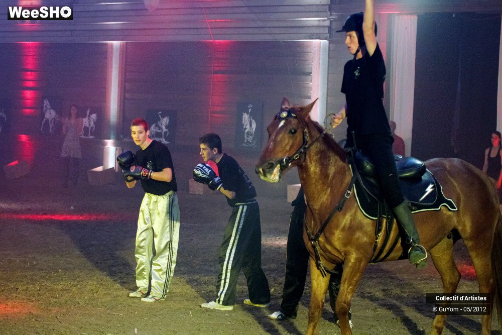 14/50 photos du spectacle Spectacle Equestre 2 Seniors
