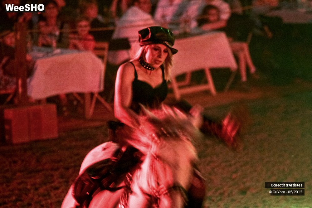 16/50 photos du spectacle Spectacle Equestre 2 Seniors