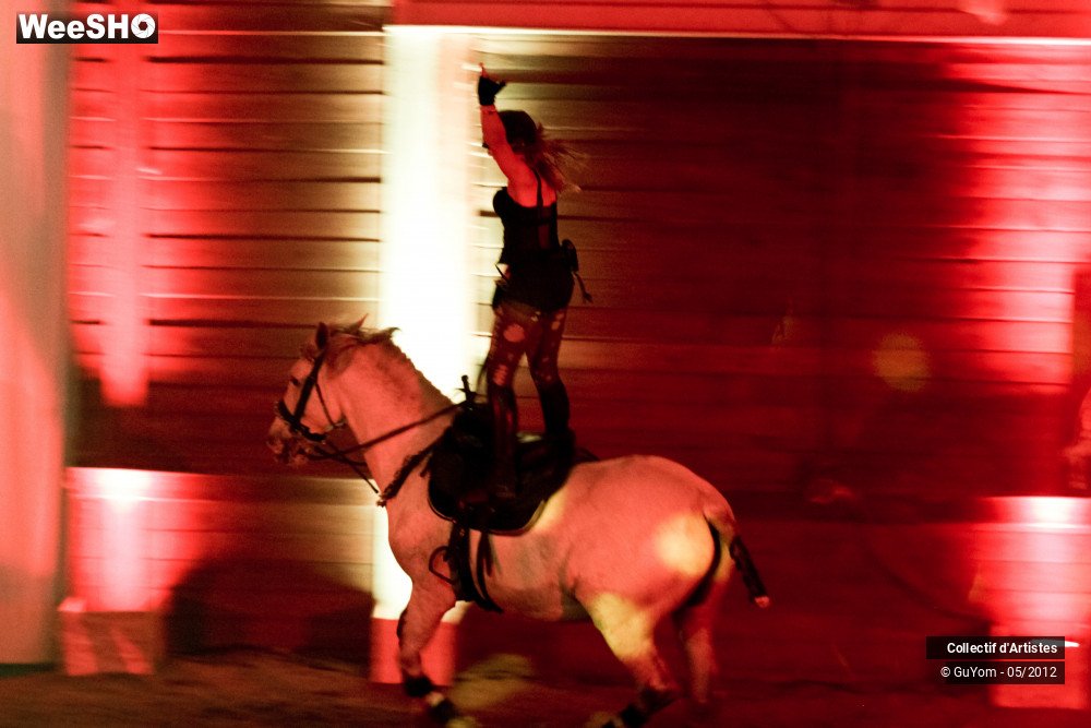 17/50 photos du spectacle Spectacle Equestre 2 Seniors