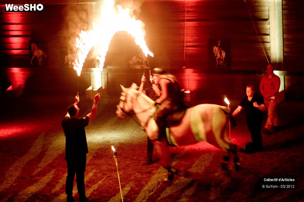 18/50 photos du spectacle Spectacle Equestre 2 Seniors