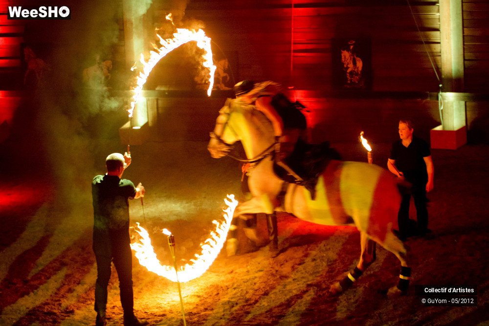 21/50 photos du spectacle Spectacle Equestre 2 Seniors