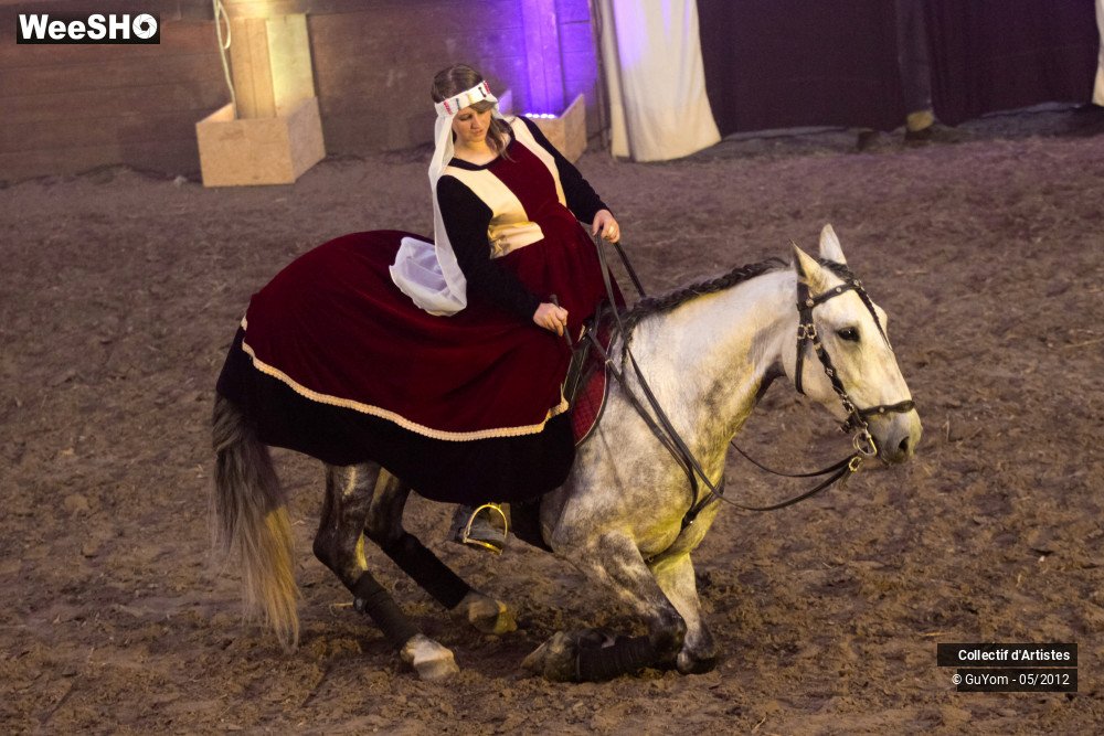 22/50 photos du spectacle Spectacle Equestre 2 Seniors