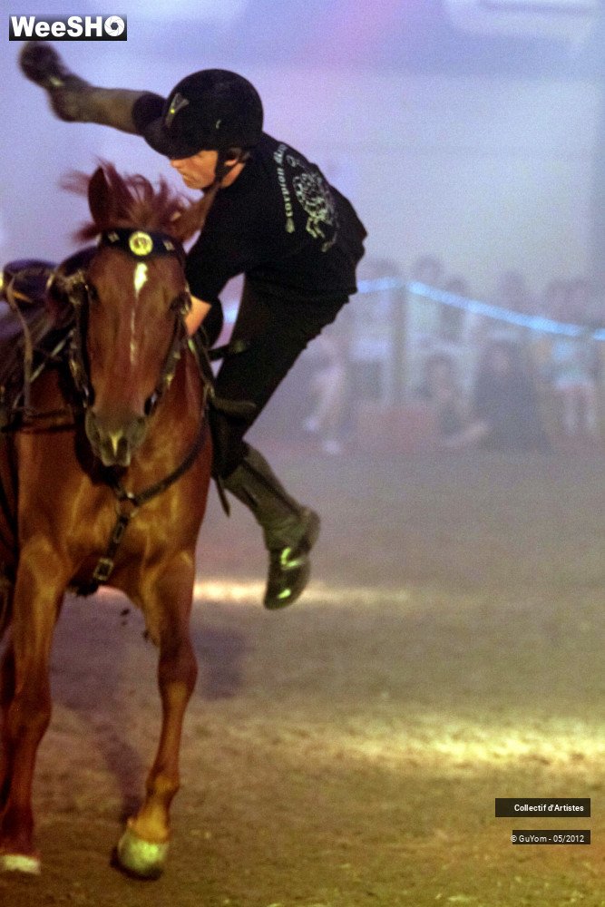 25/50 photos du spectacle Spectacle Equestre 2 Seniors