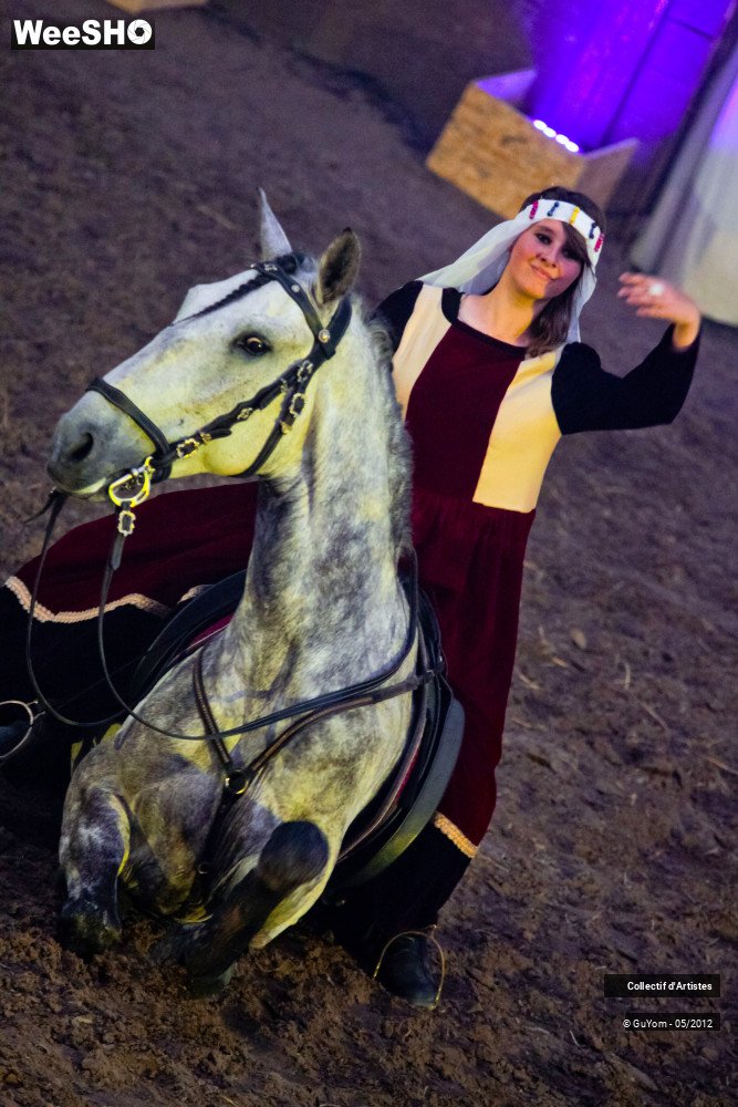 28/50 photos du spectacle Spectacle Equestre 2 Seniors