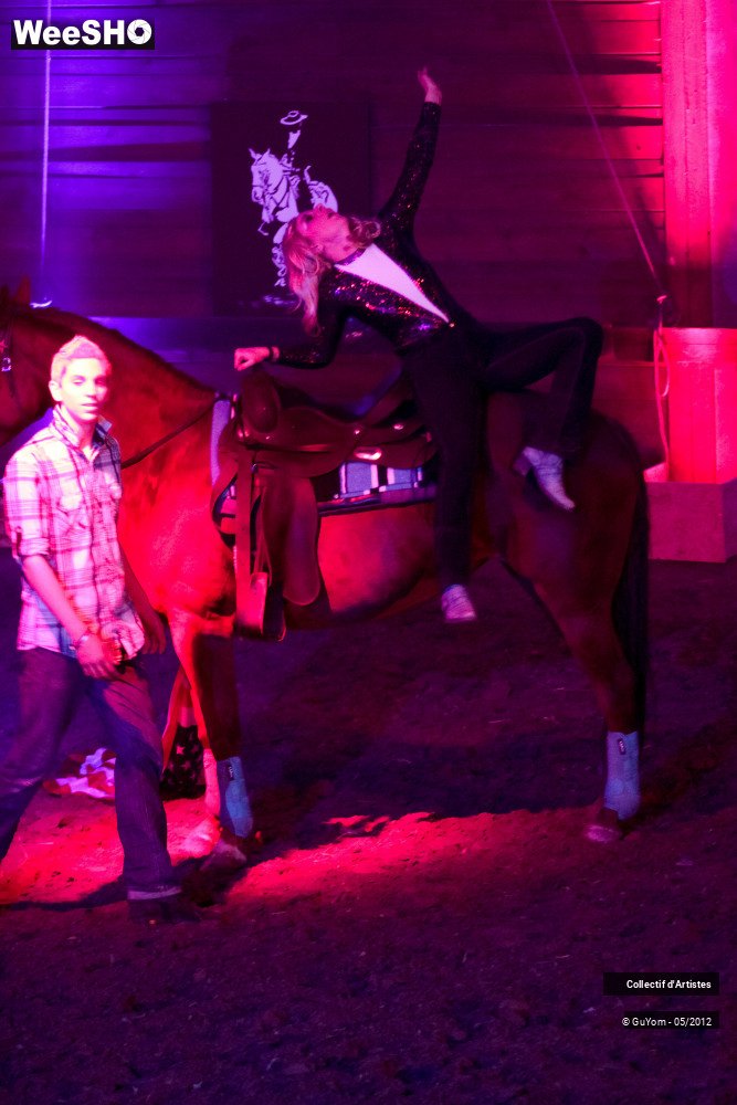 29/50 photos du spectacle Spectacle Equestre 2 Seniors