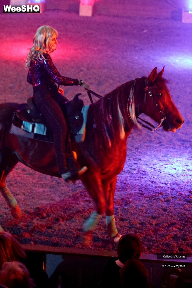 31/50 photos du spectacle Spectacle Equestre 2 Seniors