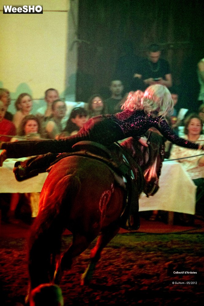 32/50 photos du spectacle Spectacle Equestre 2 Seniors