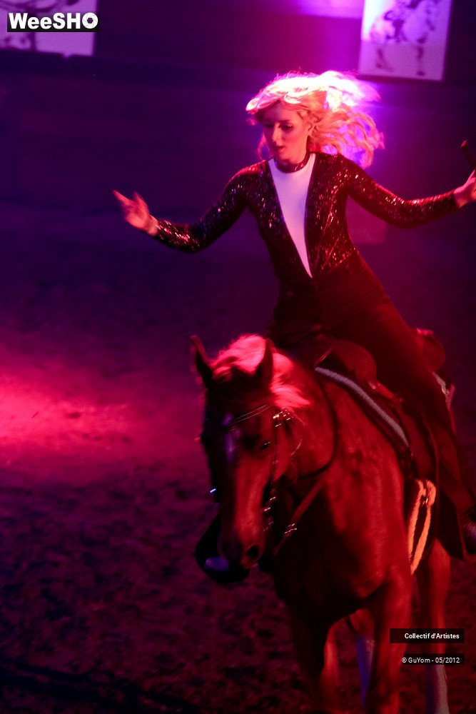 33/50 photos du spectacle Spectacle Equestre 2 Seniors