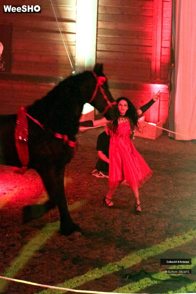 34/50 photos du spectacle Spectacle Equestre 2 Seniors