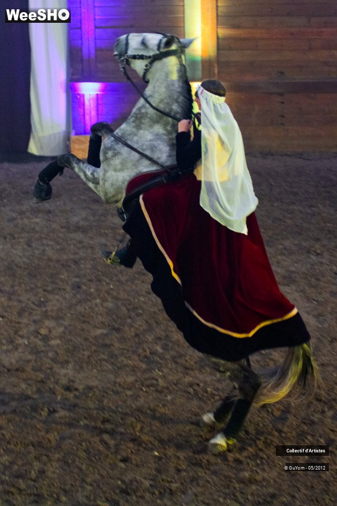 39/50 photos du spectacle Spectacle Equestre 2 Seniors