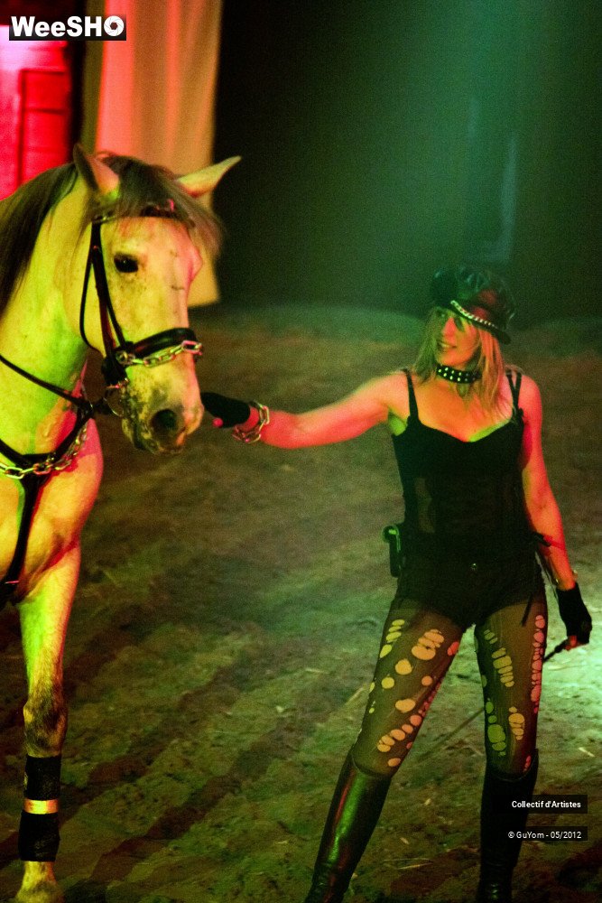 41/50 photos du spectacle Spectacle Equestre 2 Seniors