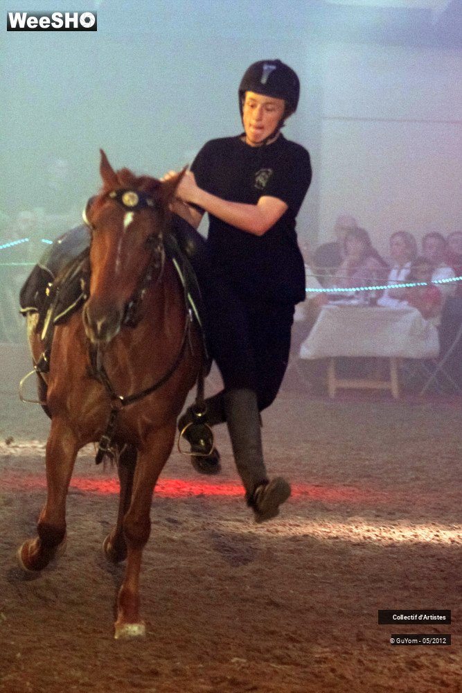 42/50 photos du spectacle Spectacle Equestre 2 Seniors