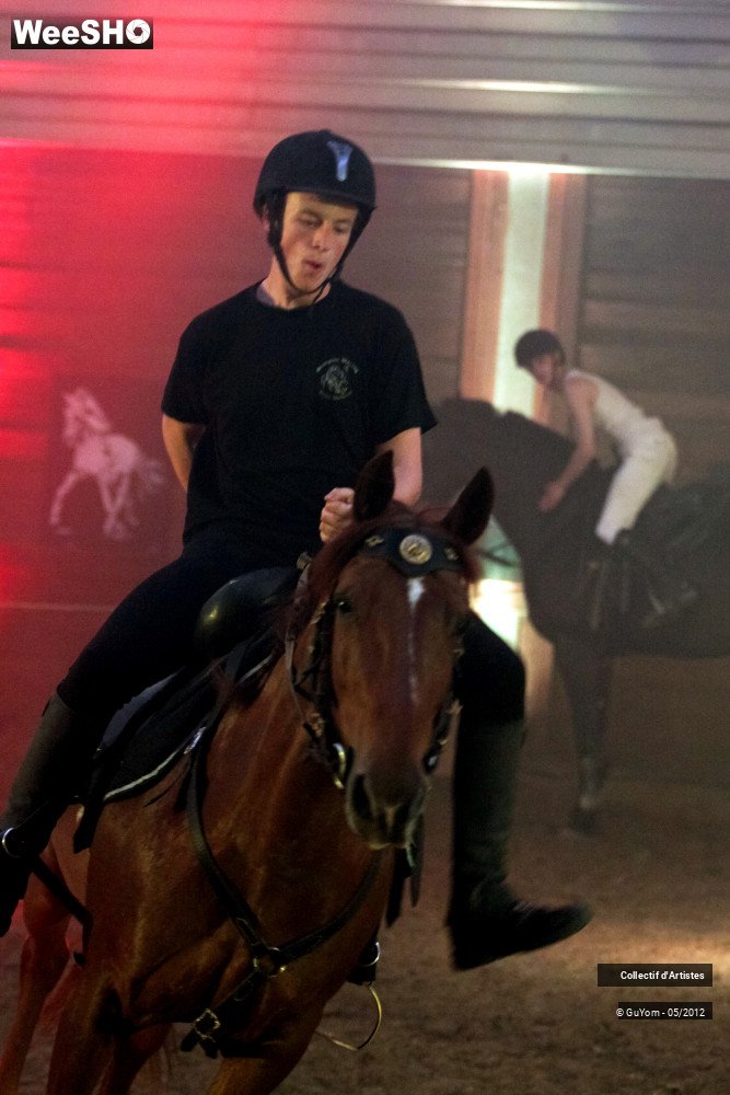 45/50 photos du spectacle Spectacle Equestre 2 Seniors
