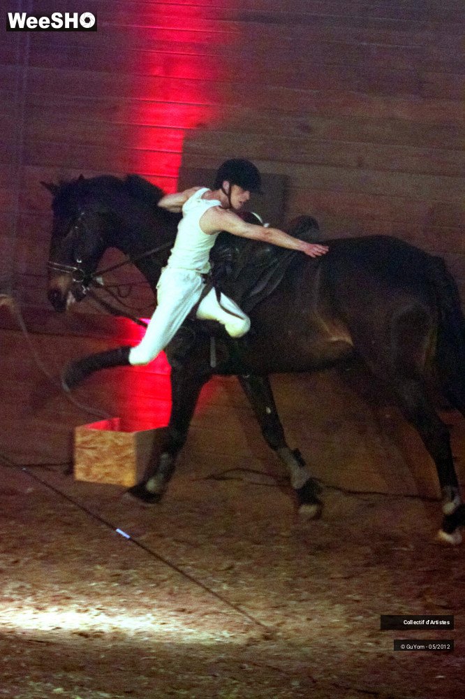 46/50 photos du spectacle Spectacle Equestre 2 Seniors