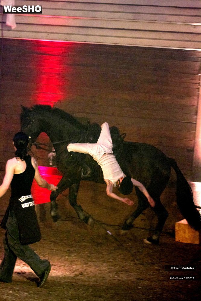 47/50 photos du spectacle Spectacle Equestre 2 Seniors