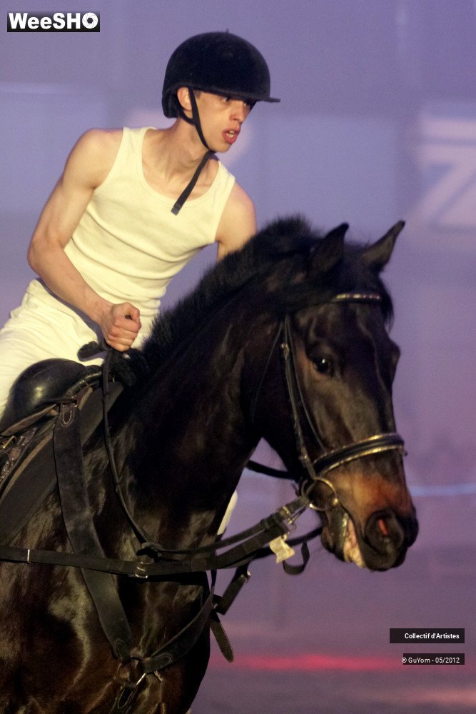 49/50 photos du spectacle Spectacle Equestre 2 Seniors