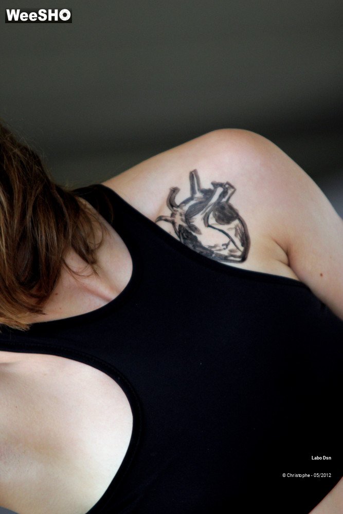 41/50 photos du spectacle Labo Dsn - Nothing Else