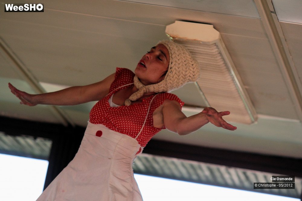 9/50 photos du spectacle La symphonie de la chute