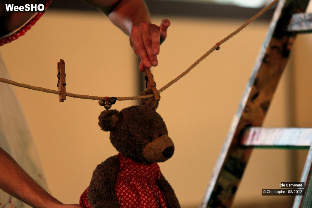 15/50 photos du spectacle La symphonie de la chute