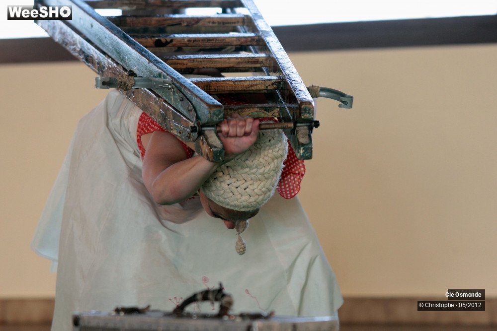 19/50 photos du spectacle La symphonie de la chute