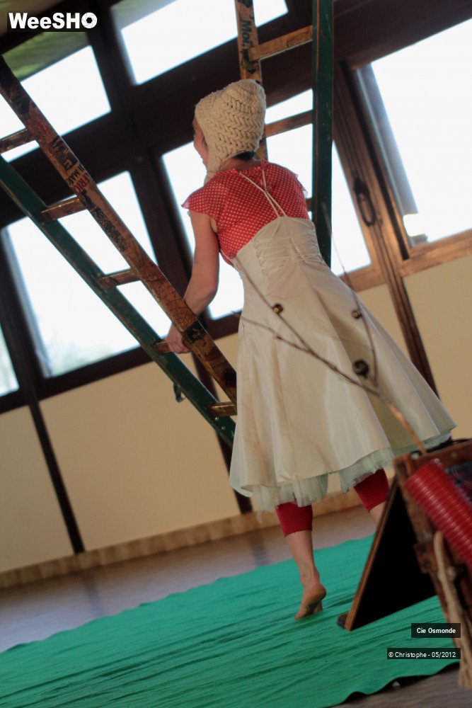 36/50 photos du spectacle La symphonie de la chute