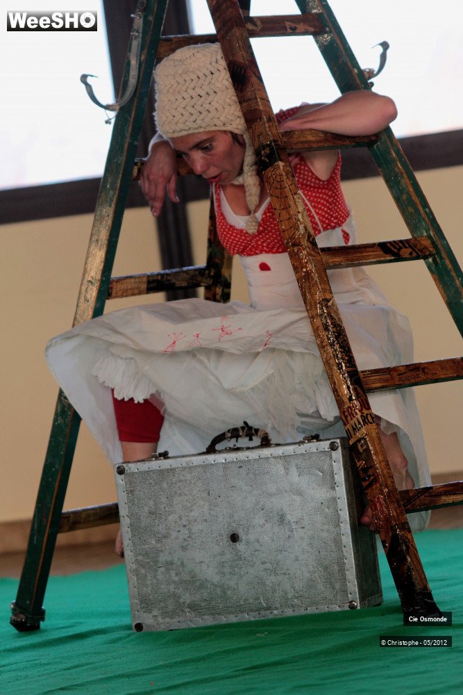 41/50 photos du spectacle La symphonie de la chute