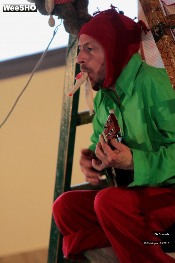 42/50 photos du spectacle La symphonie de la chute