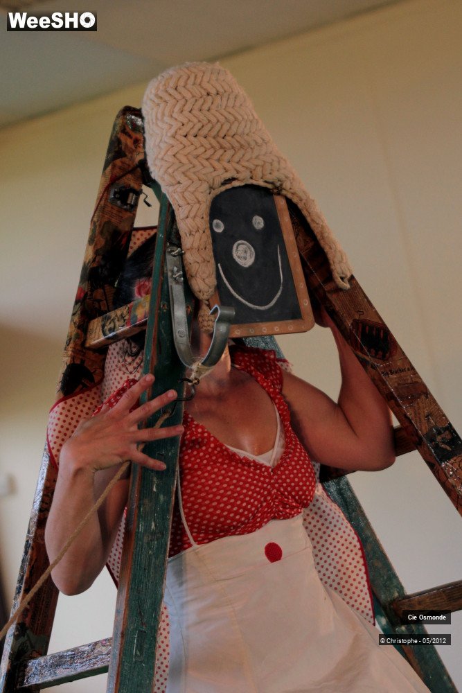 43/50 photos du spectacle La symphonie de la chute