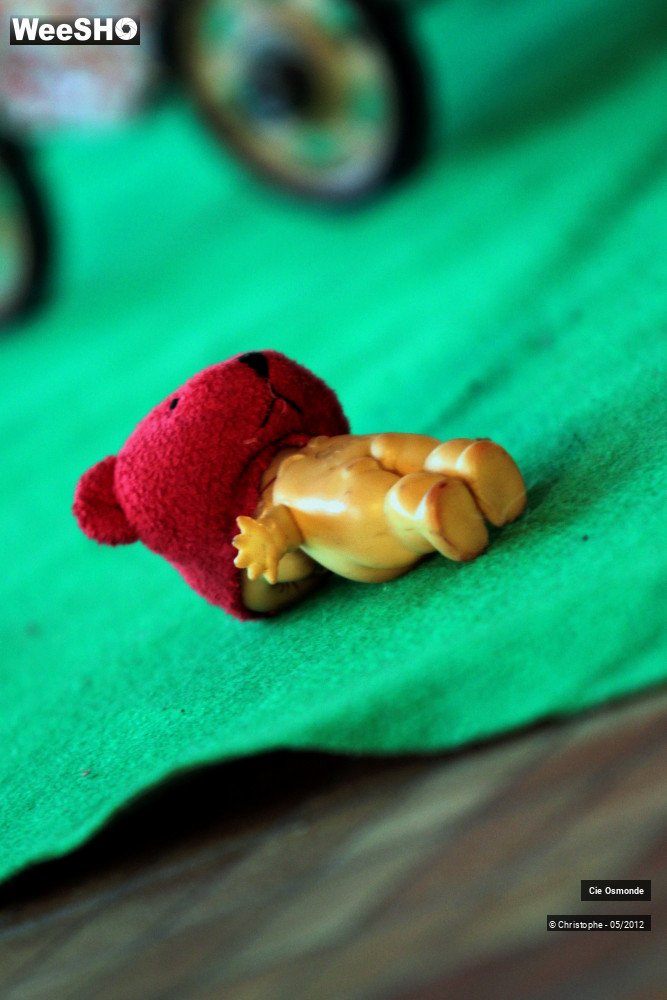 48/50 photos du spectacle La symphonie de la chute