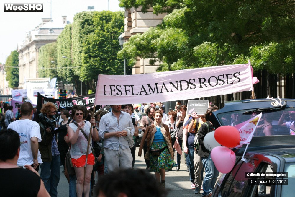 11/48 photos du spectacle Gay Pride 2012 1