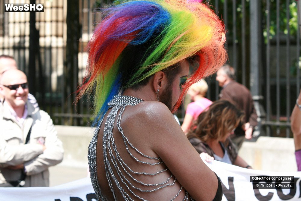 20/48 photos du spectacle Gay Pride 2012 1