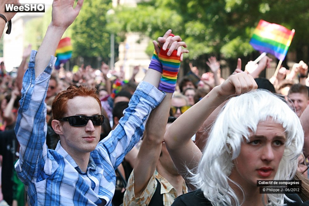 27/48 photos du spectacle Gay Pride 2012 1