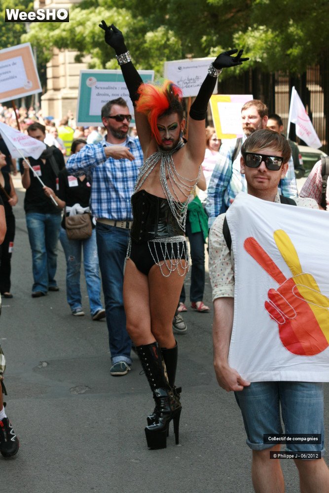 48/48 photos du spectacle Gay Pride 2012 1