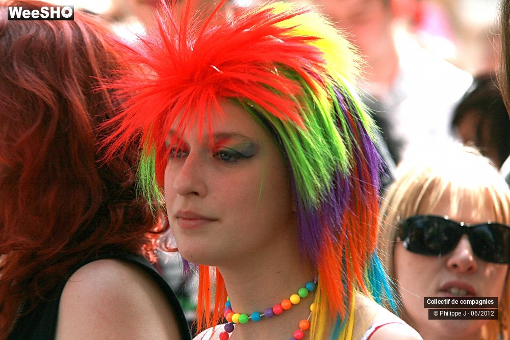 32/48 photos du spectacle Gay Pride 2012 2