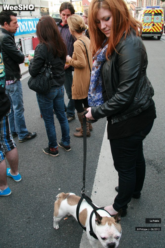 23/28 photos du spectacle La Voix du Rock 2012 Ambiance