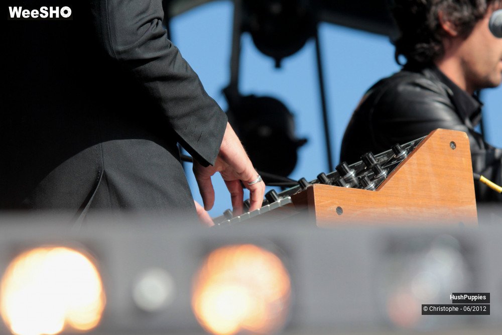 3/50 photos du spectacle Hushpuppies