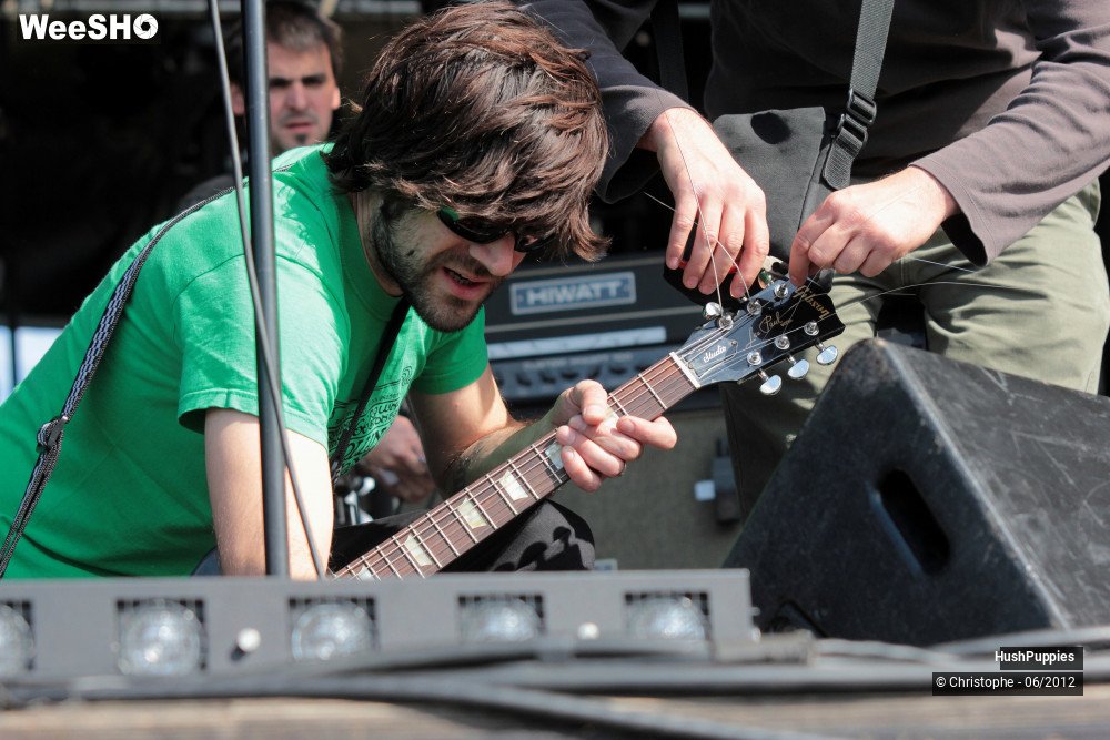 15/50 photos du spectacle Hushpuppies