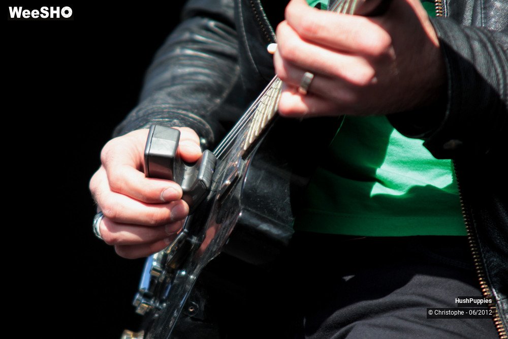 19/50 photos du spectacle Hushpuppies