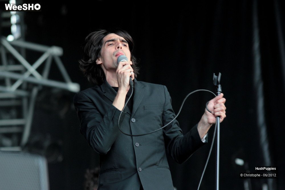 25/50 photos du spectacle Hushpuppies