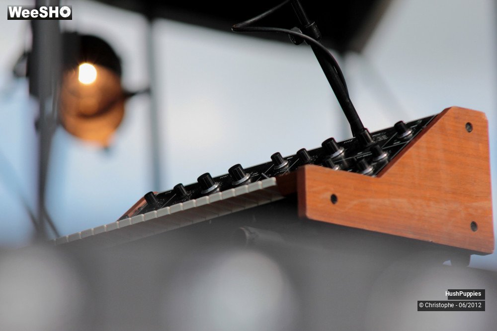 26/50 photos du spectacle Hushpuppies