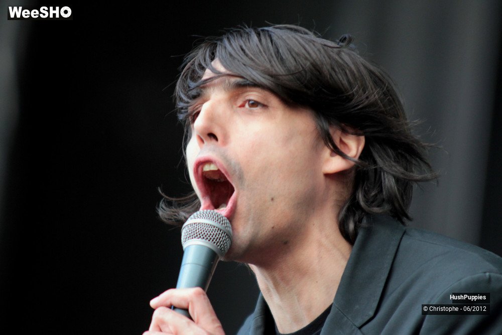 27/50 photos du spectacle Hushpuppies