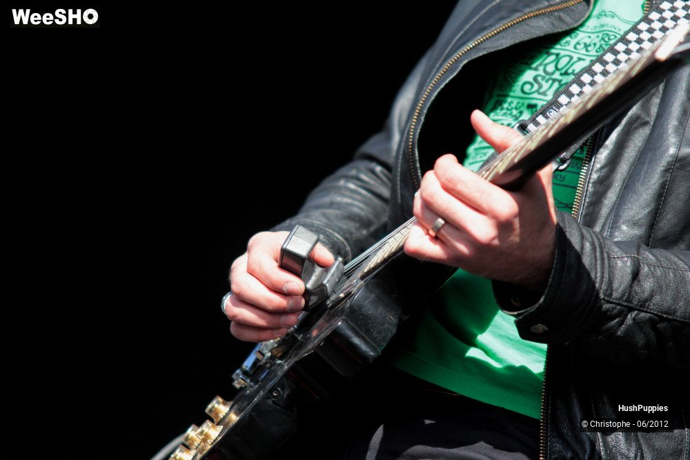 28/50 photos du spectacle Hushpuppies